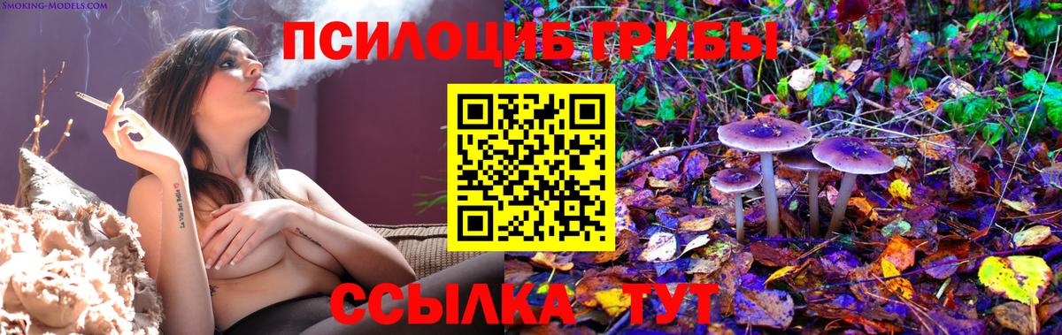 Галлюциногенные грибы MAGIC MUSHROOMS  Вход с VPN  Новочебоксарск 