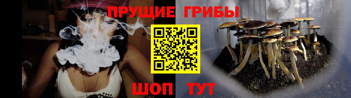Галлюциногенные грибы Psilocybe Новочебоксарск